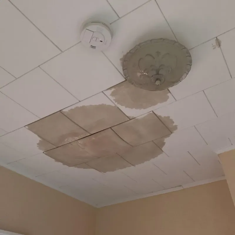 Ceiling Water Damage Repair in Masury, OH