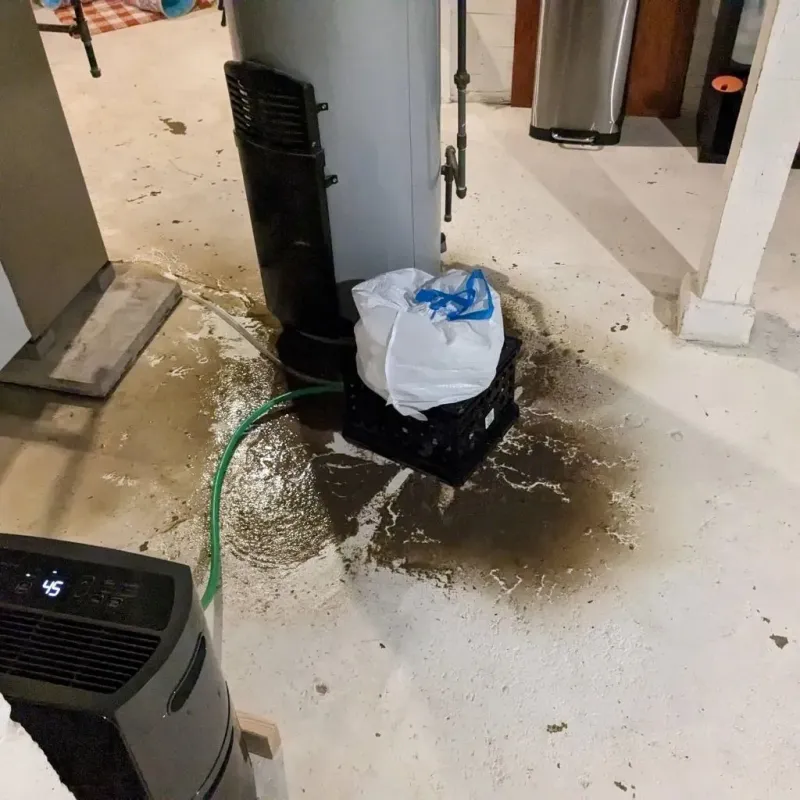 Sewage Backup Cleanup Service in Masury, OH